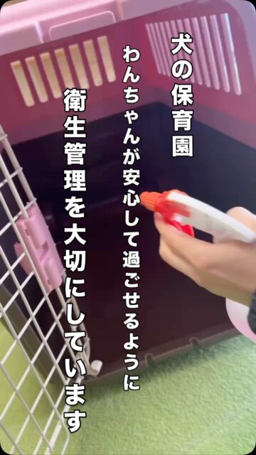安心してお預けいただける環境づくりのために
当園では、わんちゃんと飼い主さまがいつでも安心して登園をご利用いただけるように、毎日の衛生管理をとても大切にしています。
そのひとつとして、 動物病院でも使用されている安全性の高い消毒液である 「ビルコン（アンテックビルコン）」を採用しています。
この消毒液は、世界20か国の試験によって…

・54種類のウイルス ・384種類の細菌
・ 96種類の真菌類（カビ） ・6種類の芽胞菌
に対して効果が確認されている、プロの現場でも信頼される消毒剤です。
＿＿＿＿＿＿＿＿＿＿

ビルコンが選ばれる理由
・毒性が非常に低い（安全性が高い） ・ 刺激臭がほとんどない ・ ニオイも汚れも残りにくい ・環境に残留しにくい ・正確に希釈できるので安心して使える

＿＿＿＿＿＿＿＿＿＿
当園での取り組み
* ケージ・床・室内・ドアノブなど 犬たちが触れる場所を毎日しっかり消毒
* お散歩導線や共有スペースもこまめに清掃
* 一日の終わりには全体リセット
もちろん、犬の身体に使うものではなく、環境の消毒として安全に配慮しながら使用しています。
＿＿＿＿＿＿＿＿＿＿

飼い主さまへ
大切なご家族が、 “安心して過ごせる場所”であることを何より大切にしています。
これからも、皆さんに安心して登園をご利用いただけるように、最善を尽くしてまいります。

#犬の保育園 #衛生管理 #安心して預けられる保育園 #ビルコン #アンテックビルコン #消毒液 #動物病院でも使われています #わんちゃんの安全を守るために #清潔な環境づくり #感染症対策 #犬のいる暮らし #犬好きさんと繋がりたい #愛犬のいる生活 #犬の安全 #犬の健康を守る #犬の保育園ハレルヤ #ハッピーランドハレルヤ #アニマルウェルビーイング #アニマルウェルフェア #ウェルビーイング