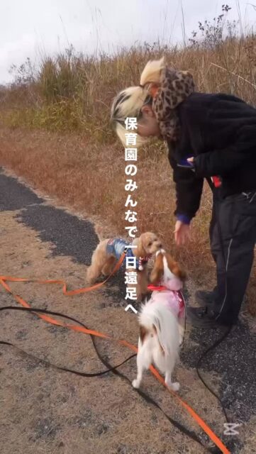 12月8日は、保育園のみんなで遠足へ！
たくさんのわんちゃんに参加してもらい楽しい一日になりました😊
トレーナーがその子その子の性格を配慮しつつ相性の良さそうなグループを作り3つに分かれてお散歩しました🐶

午前中は美祢市にある白糸の滝へ
午後からは秋吉台へ
沢山匂いを嗅いでお友達と交流しながらそれぞれ楽しんでくれました☺️
#アニマルウェルフェア
#犬の保育園
#ハッピーランドハレルヤ #ドッグトレーナー #犬のしつけ