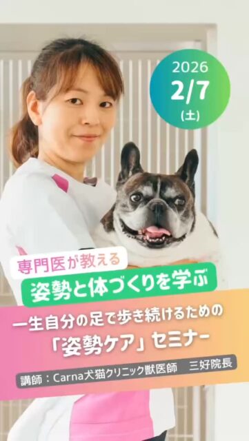 最近、愛犬の「立ち方」や「歩き方」に少しの変化を感じることはありませんか？🐕🐾

実は、犬の姿勢の乱れは、肩こり・腰痛・食欲不振など、病気とまではいかない様々な不調と深く関わっています。

シニアになってから慌てないために。 「様子を見ましょう」と言われる今だからこそできる、自分の足で歩くための「予防的ケア」を学びませんか？✨

今回は、山口市でリハビリテーションを専門とされる「Carna（カルナ）犬猫クリニック」の三好先生を講師にお招きします！🩺

【セミナー内容】
✅ 姿勢の乱れを見抜くチェックポイント 
✅ 現代の生活が犬の体に与える影響とは？ 
✅ 自宅でできる！機能改善エクササイズ 
✅ シニア期を見据えたQOL向上術

【開催概要】 
日時： 2026年2月7日(土) 09:30〜12:00 
場所：犬の保育園 ハッピーランドハレルヤ 〒753-0061 山口県山口市朝倉町1-1
参加費： 3,500円（税込） 
対象： 飼い主様のみ（座学中心のため）

「いつまでも元気にお散歩を楽しみたい」 そんな飼い主様の想いに応える150分です。

詳細・ご予約はホームページからお願い致します☺️

#犬の保育園 #アニマルウェルフェア #ドッグトレーナー #ハッピーランドハレルヤ #犬のしつけ