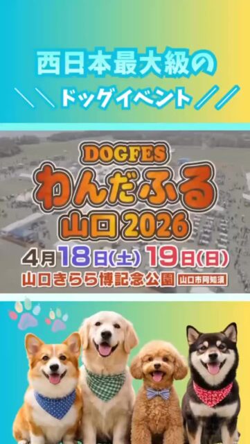 🐾＼犬の保育園ハッピーランドハレルヤが「わんだふる山口2026」に初出店！／🐾
4月18日（土）・19日（日）開催の西日本最大級ドッグイベント「わんだふる山口2026」に、アニマルウェルフェアを実践する犬の保育園「ハッピーランドハレルヤ」が初出店します！会場は、山口市阿知須・山口きらら博記念公園。
全国から人気ブランドやドッグアイテムが集結する、年に一度の大型ドッグイベントです🐶✨

国内外のドッグフードメーカーや人気のドッグアイテム、ドッグウェアブランドなど、ペット業界の注目ブランドが一堂に集結！テレビ山口（tys）とのコラボ企画や、わんちゃんと一緒に楽しめる体験型プログラムも盛りだくさんの、全国屈指のドッグマルシェイベントです。

会場では、西日本の絶品グルメが揃うキッチンカーコレクションや、家族で一日中遊べる大型キッズフェスも同時開催。さらに、国内トップレベルの技を間近で観戦できるフリスビードッグ大会や、より安全にリニューアルされたドッグラン、愛犬との思い出を残せる映えるフォトスポットなど、ワンコと飼い主さんが「非日常」を心ゆくまで満喫できるコンテンツが目白押しです。

🔶 犬の保育園ハッピーランドハレルヤの出店ブースでは…
✔️ わんちゃん同乗OKのキャンピングカーを展示！当日ご予約の方には嬉しい特典あり♪
✔️ プロのドッグトレーナー×獣医師による「愛犬健康寿命フィットネス体験会」を開催
✔️ 保育園でも大人気の、愛犬の健康を支えるごはん「ミレワン」のこだわりフードの試食体験を実施中！さらに、ブースへお越しの方には発売前の「芋屋金次郎」コラボおやつをプレゼントします。
🐶 さらに！今年の「まて！グランプリ」は犬の保育園 ハッピーランドハレルヤが冠スポンサー！　イベント2日目（4月19日）の14:00から開催される、毎年大人気のプログラム「まて！グランプリ」は、今年から『犬の保育園 ハッピーランドハレルヤ PRESENTS まて！グランプリ』として登場！
シンプルだけど奥が深い、“まて”が長くできた子が勝ちというルールの中、予選を勝ち抜いたお利口なわんちゃんたちが優勝をかけて白熱バトルを繰り広げます。
👑 優勝者にはなんと…ミレワン1年分のフードをプレゼント！
会場で繰り広げられる、わんちゃんたちの可愛い真剣勝負をぜひお楽しみに♪

－－－－－－－－－－－－
📅 開催日：2026年4月18日（土）・19日（日）
🕙 時間：10:00～16:00
📍 場所：山口きらら博記念公園（山口県山口市阿知須）
🎟 前売り大人1000円、子供500円。当日大人1200円、子供600円。
※前売りは全国のローソン等で好評発売中。　
※ミレワンブースは入場口手前に出店していますので、入場無料でお越しいただけます。
https://www.wonderful-dogfes.com/yamaguchi
－－－－－－－－－－－－
愛犬との絆がもっと深まる2日間。スタッフ一同、皆さまとわんちゃんにお会いできるのを楽しみにしております！
#MILLETONE #ミレワン #わんだふる山口 #まてグランプリ #犬イベント 山口イベント ドッグフード 無香料ドッグフード アニマルウェルフェア キャンピングカー展示 ドッグトレーニング tysコラボ 山口きらら博記念公園