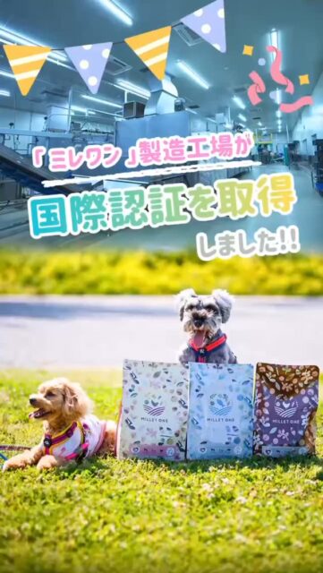 ペットフードに、
“人の食品レベル”を。

ドッグフード「ミレワン」の製造工場が
国際基準 FSSC22000 を取得。

まだ少数の、世界基準。

見えない「安心」を、
見える品質へ。

愛犬に、本当にいいものを。

#ミレワン #ドッグフード #世界基準 #アニマルウェルフェア
#FSSC22000