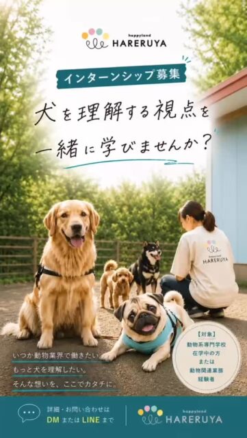 『インターンシップ募集』
専門学生・大学生・動物のお仕事経験者のインターンシップを募集しています。

犬たちの安全と福祉を最優先に考えているため
【動物系専門学校在学中の方】
または 【動物関連業務経験者】
限定での募集とさせていただきます。

保育園という環境では、犬同士のコミュニケーションや行動変化を観察しながら、その場で判断・対応する場面も多くあります。
そのため、安全管理および学習環境維持の観点から、未経験の方の募集は行っておりません。何卒ご理解いただけますと幸いです🙇‍♀️

＿＿＿＿＿

📩詳細・お問い合わせ
プロフィール下の🔗公式LINEよりお気軽にお問い合わせください。
今後の流れを打ち合わせしていきます。

【応募時提出書類】 ・インターン申込用紙 ・履歴書
など
＿＿＿＿＿＿ 
こんな疑問ありませんか？

「応用行動分析学」「アニマルウェルフェア（動物福祉）」
この言葉を授業やSNS、本などで聞いたことはある。

でも、 「現場ではどう活用するの？」 「トレーニングとどうつながるの？」
そう聞かれると、まだよくわからない。
そんな学生さんも多いのではないでしょうか。

また、
「アニマルウェルフェアが大切なのはわかる」 「犬に優しくしたいと思っている」

でも、それを日々の保育やトレーニングの現場でどう実践するのか。
犬に優しいって具体的にどういうことなのか。 犬のお困りごとにどう結びつけるのか。
そこまで学ぶ機会は意外と多くありません。

今回のインターンシップでは、犬の保育現場を実際に体験しながら、

・犬の行動を観察する視点 ・応用行動分析学の考え方 ・環境設定の重要性 ・強化を活用した学習 ・ストレスサインの見方 ・アニマルウェルフェアの実践

を現場で学ぶことができます。