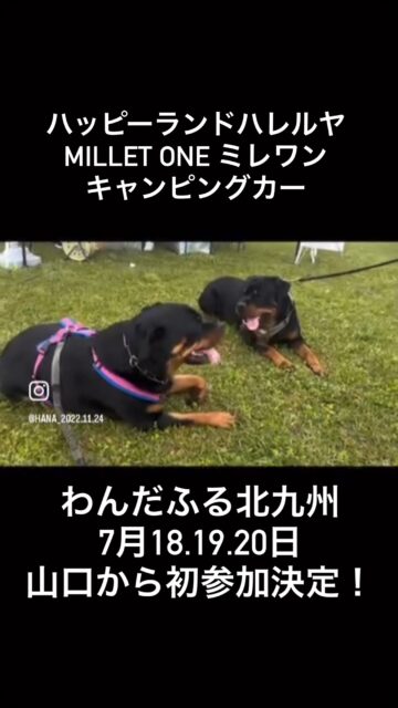 🐶✨【７月18・19・20日！わんだふる北九州に初出展のお知らせ】✨🐶

このたび、犬の保育園「ハッピーランド ハレルヤ」＆MILLET ONE(ミレワン）、キャンピングカーレンタルのキャンタル山口は、
「わんだふる北九州」に、山口県を飛び出して初出展いたします！

■ 事業名称：NEXT WONDERFUL 7＜わんだふる設立7周年記念事業＞ 第三弾
　　　　 　DOG EXPO FUKUOKA 2026

■ 開催日時：2026年7月18日(土)・19日(日)・20日(祝・月)
　　　　 　10:00～16:00 　※ 3日間共通

■ 開催会場：北九州メッセ（旧 西日本総合展示場 新館）

■ 主　　催：わんだふるグループ

■詳　　細：https://www.wonderful-dogfes.com/dogexpofukuoka

わんだふる山口での繋がりから、直接お声掛けいただき、参加させていただくことになりました。素敵なご縁に感謝しております。
@kirichan5204 

MILEET ONE＆ハッピーランドハレルヤのブースでは、愛犬との暮らしがもっと楽しくなるような体験をご用意して、皆さまをお待ちしています。小倉駅から近くて、山口市からは車で１時間半くらい^^ ぜひ皆さん、遊びにきてください♪

🍚 ミレワン @millet_one 
・試食＆販売
・フード選びや毎日の食事についてのご相談
・Lifestyle with dogs のパネル展示

🍠 新商品を先行お披露目！
発売前の北海道産紅はるか100％・無添加犬用おやつを、一足早くご試食いただけます。
ぜひアンケートにもご協力いただけると嬉しいです！

🚐 キャンピングカー展示 @cantal_yamaguchi 
愛犬との旅をもっと自由に、もっと楽しく。
イベント限定のお得なご予約特典もご用意しています。

🐕 ハッピーランド ハレルヤのドッグトレーナーも参加します！
犬との暮らしやトレーニングのことなど、気になることがありましたら、お気軽にお声がけください。

実は今回が、山口県を飛び出しての初めてのイベント出展です。

スタッフ一同、少しドキドキしていますが、それ以上に、北九州でたくさんのわんちゃんや飼い主の皆さまと出会えることを、とても楽しみにしています。

また、初めての県外出展なので、いつも応援してくださっている皆さまや、お知り合いの方にお会いできたら、とっても嬉しいです😊

真夏の開催ですが、会場はエアコンの効いた屋内施設ですので、わんちゃんも安心してお楽しみいただけます🐶❄️

ぜひ愛犬と一緒に遊びにいらしてください🐾
皆さまにお会いできることを、心より楽しみにしております🐶✨

#ミレワン #MILLETONE #ハッピーランドハレルヤ #わんだふる北九州 #DOGEXPO 犬の保育園 犬のおやつ 無添加おやつ キャンピングカー 犬と旅する 犬のいる暮らし 北九州イベント