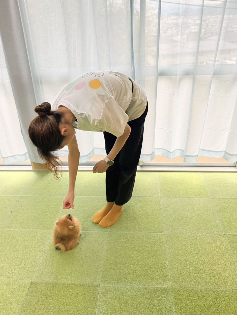 パピーすくすく成長プランの様子