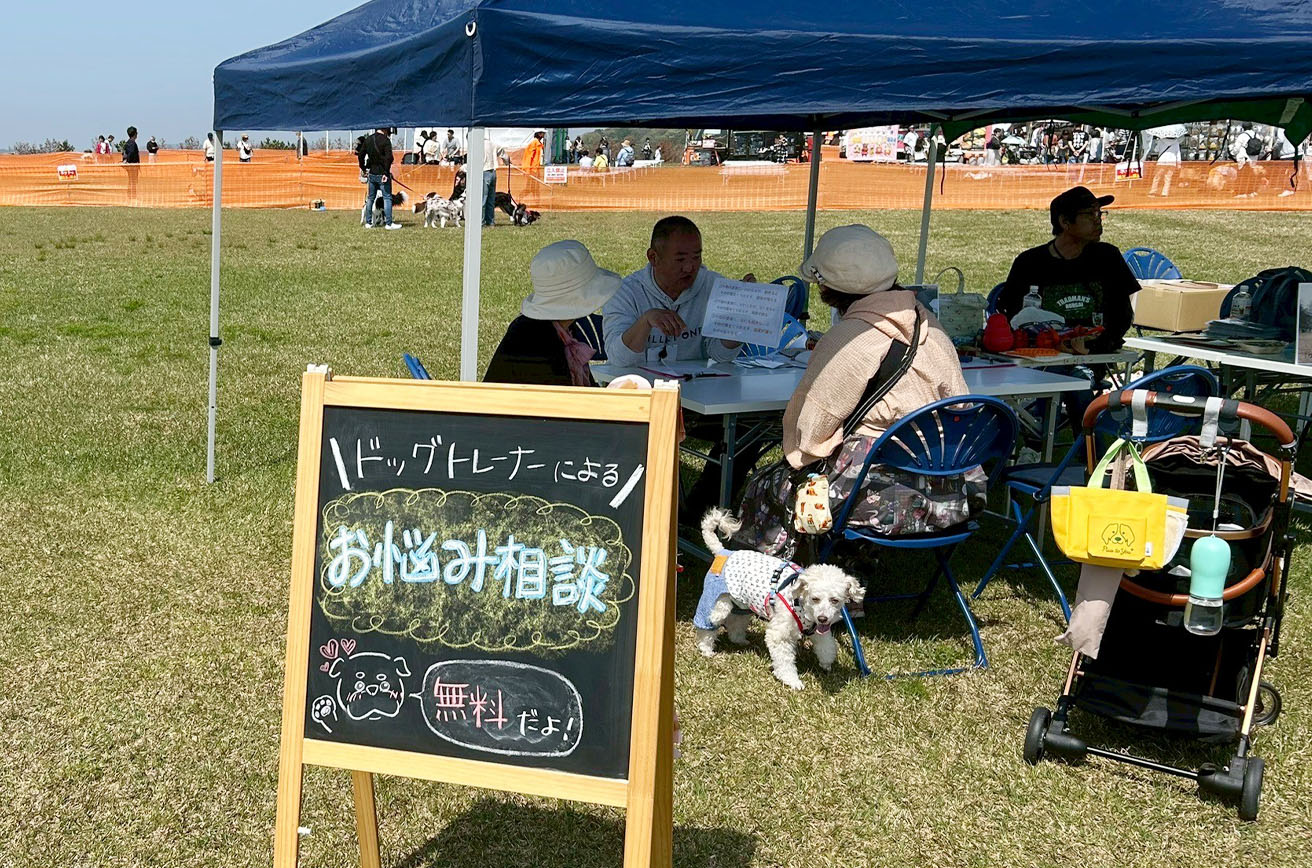 わんちゃん無料お悩み相談会