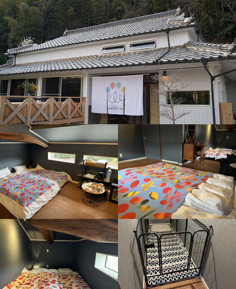 犬と泊まれる宿 Animal Resort HARERUYA