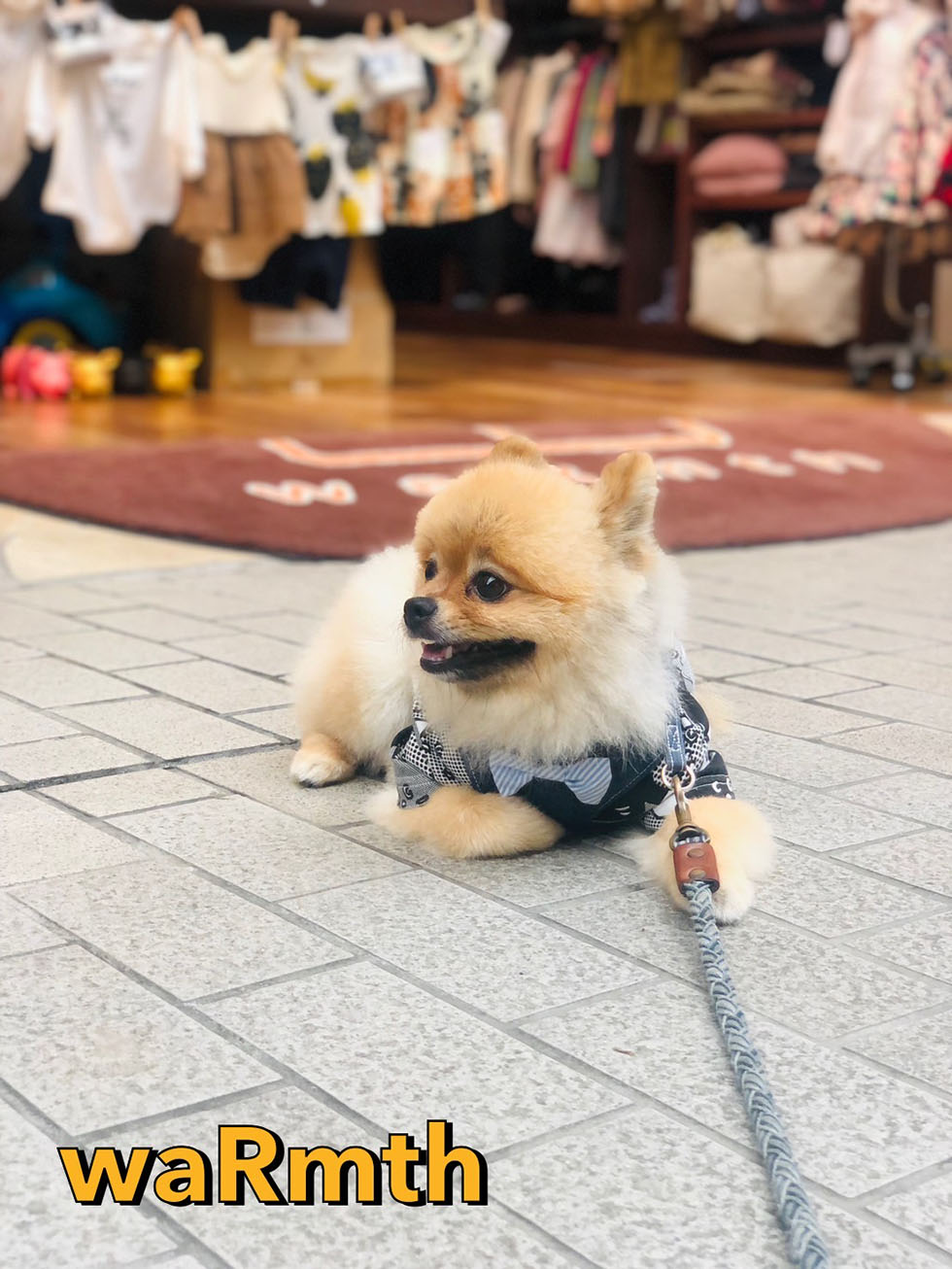 waRmth商品写真