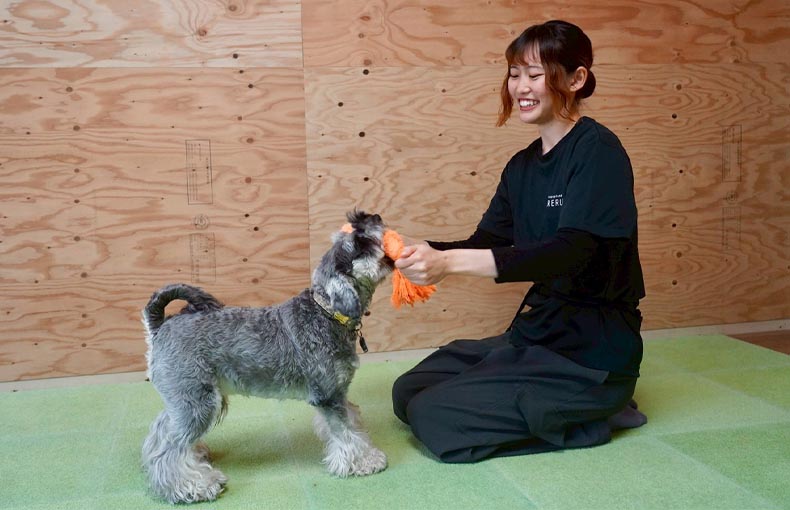 犬と宝探しゲーム中