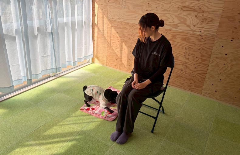 犬のストレス発散は“量”ではなく“設計”