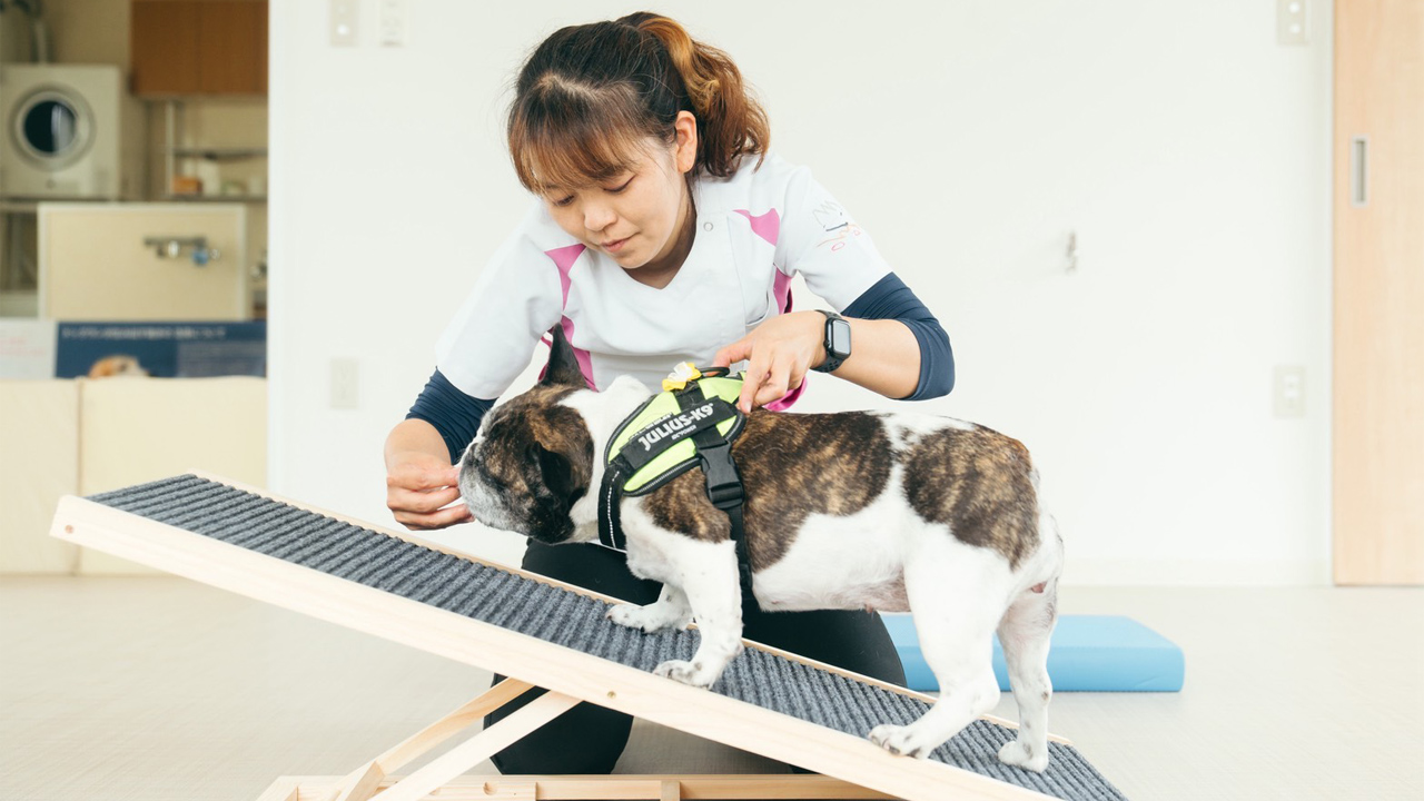 姿勢と体づくりを学ぶセミナー開催のご案内