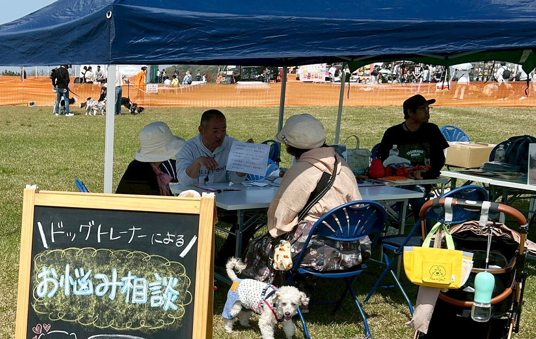 わんだふる山口 愛犬のお悩み相談