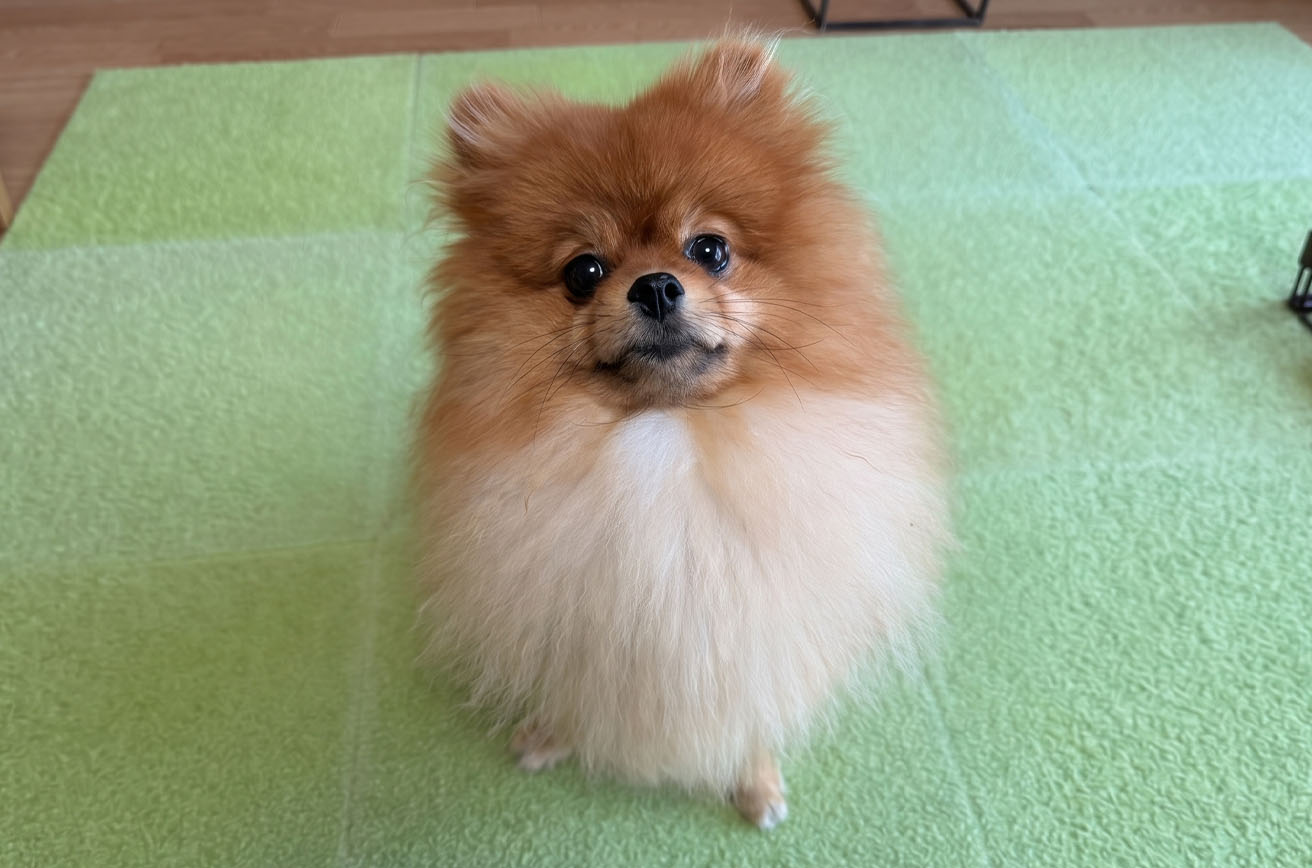 保育園での生活